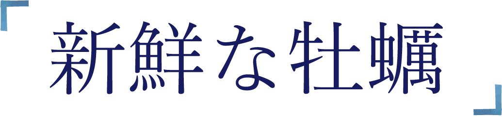 新鮮な牡蠣